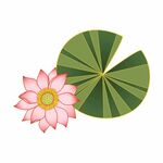 手绘荷花
