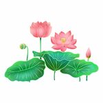 手绘荷花