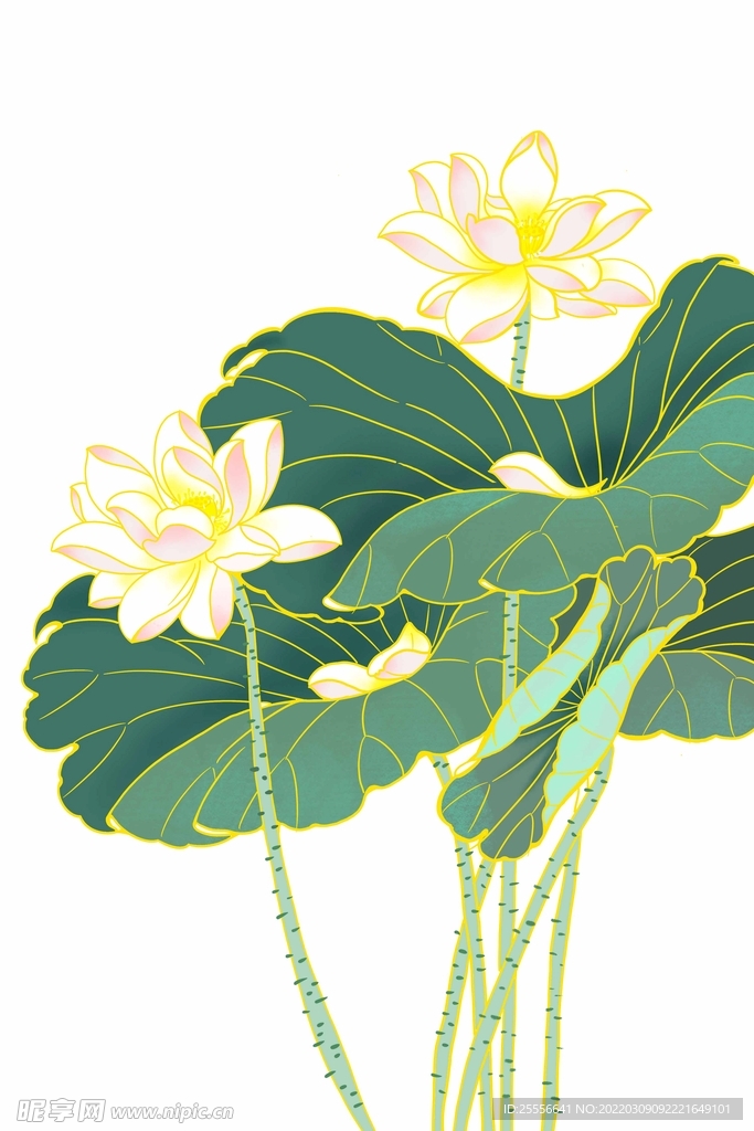 手绘荷花