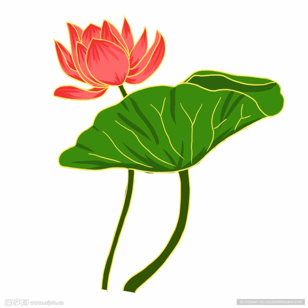 手绘荷花
