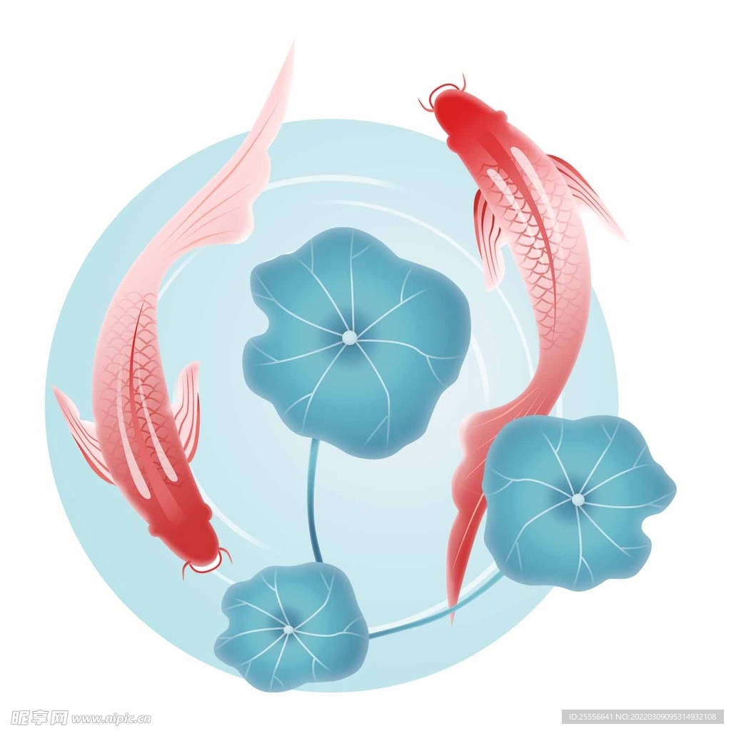 锦鲤