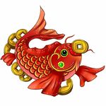 锦鲤