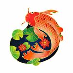 锦鲤