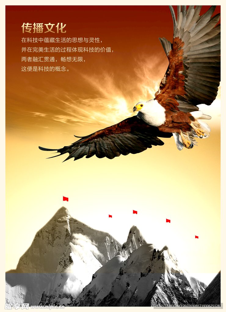 企业文化