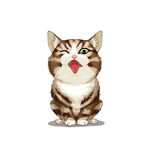 猫              