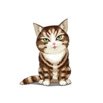 猫              