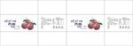 西梅果干包装平面图