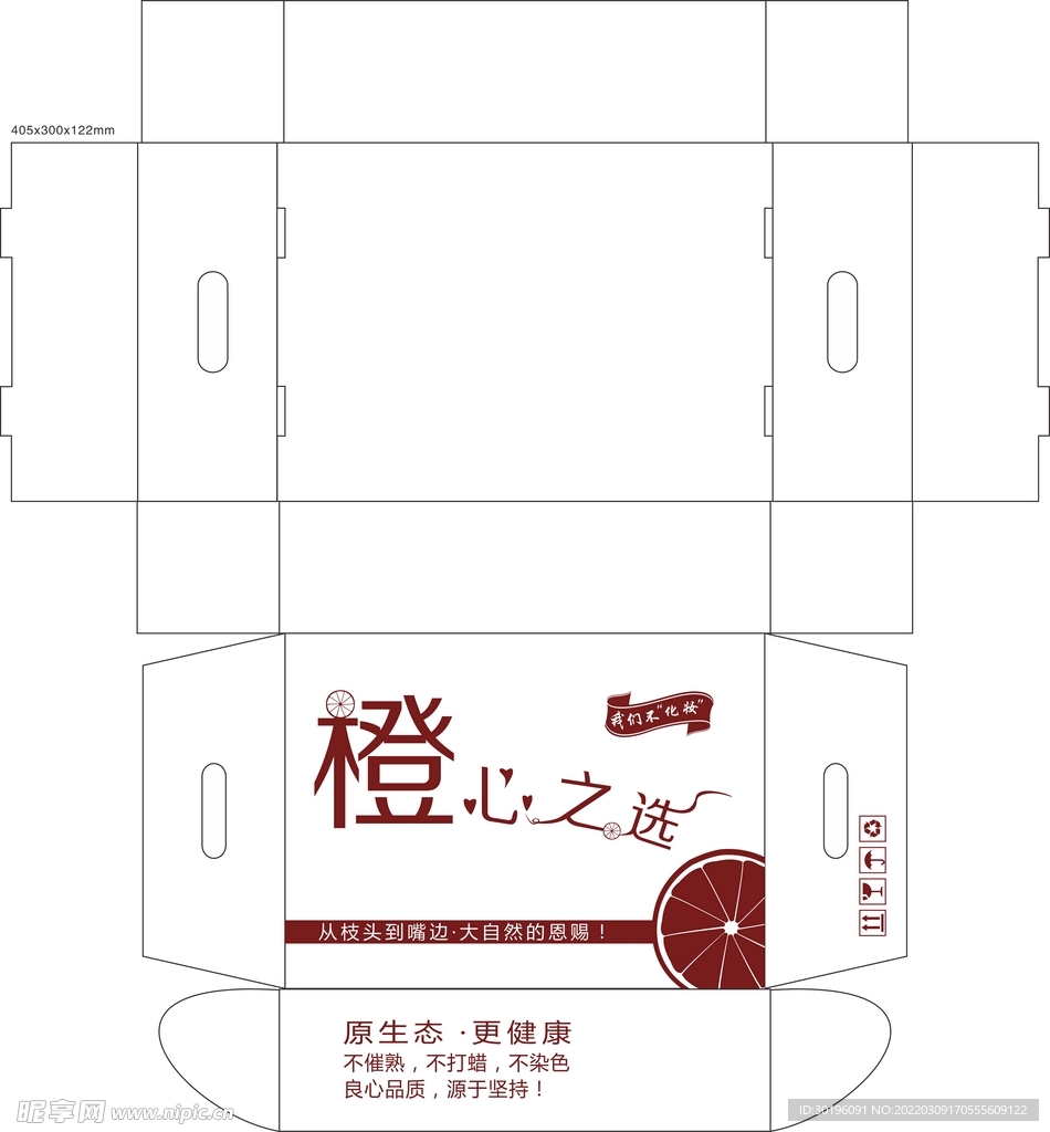 橙子平面图