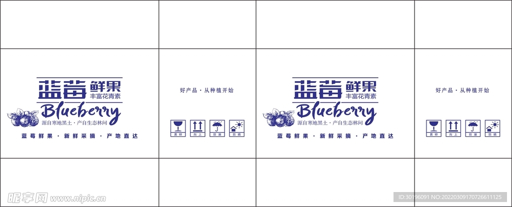 蓝莓鲜果平面图