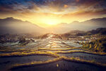 农野背景