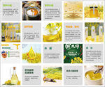 油菜花健康科普知识宣传海报