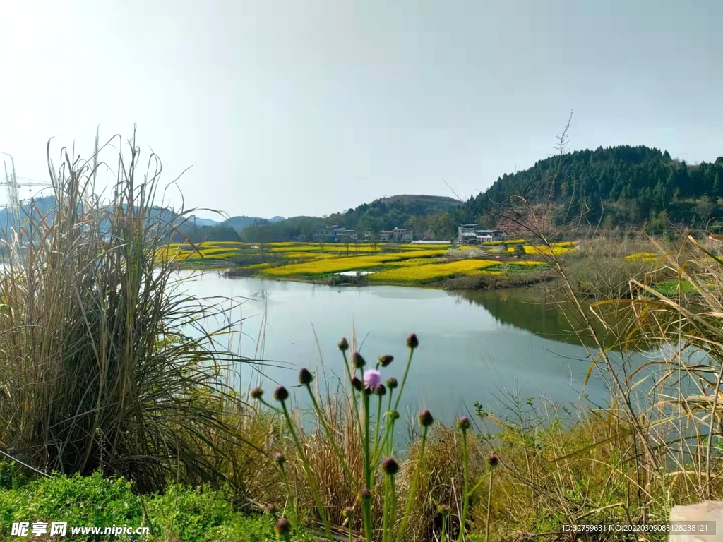 河边风景