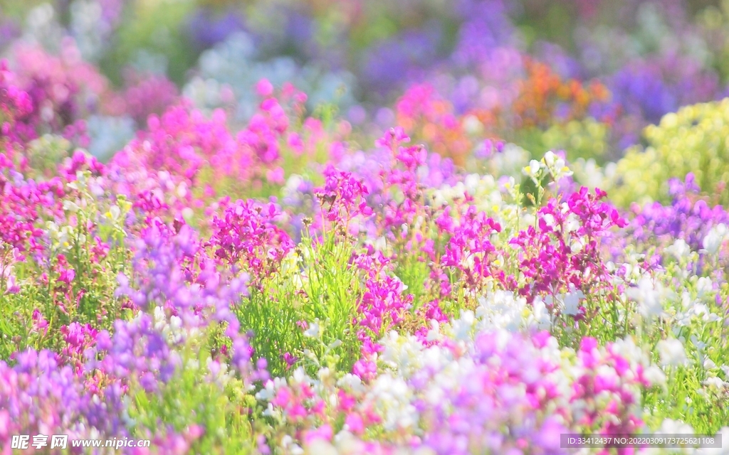 花
