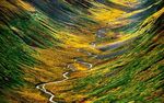 山