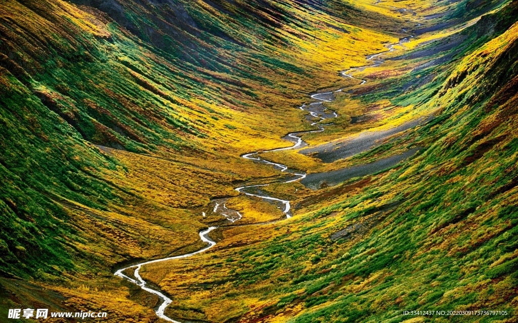 山