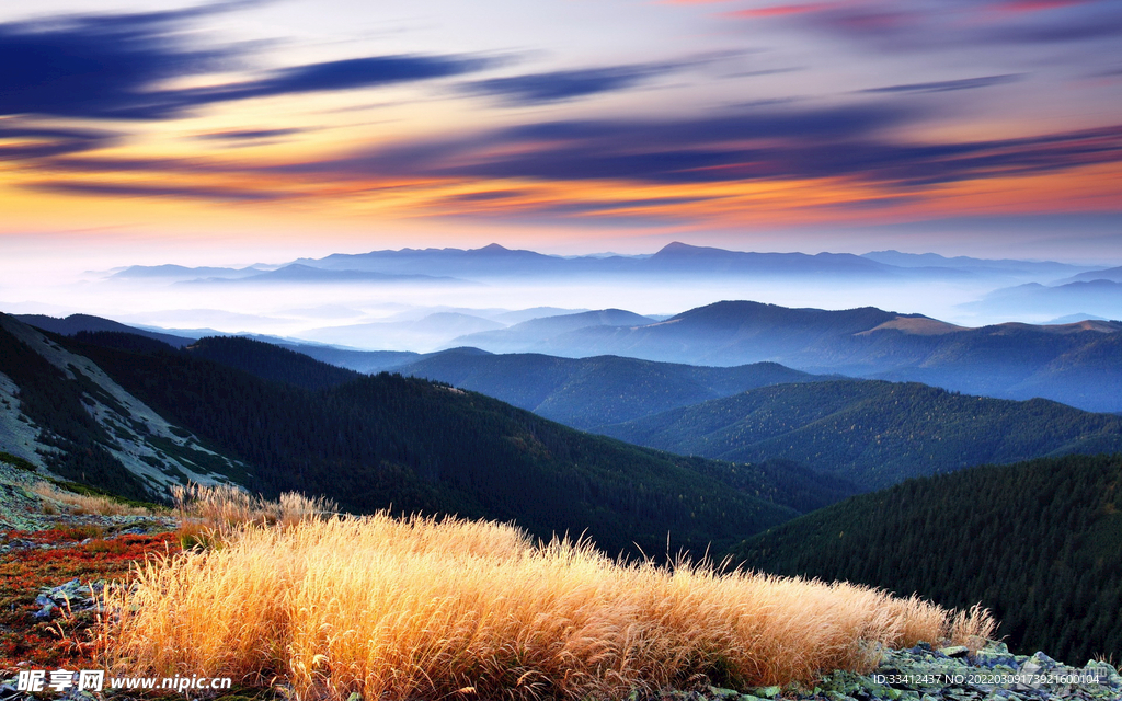 山