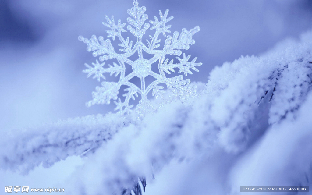 雪花特写背景