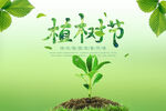 植树节