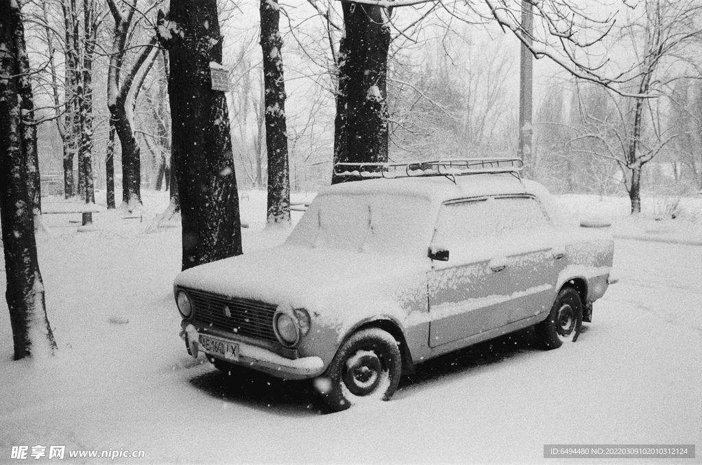 冬季树林雪地汽车寒冷森林