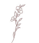 线描简约叶子2
