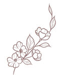 线描简约叶子