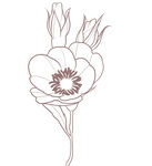 线描简约樱花