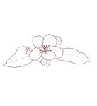 线描简约樱花