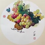蝴蝶葡萄