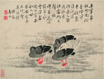 野鸭  