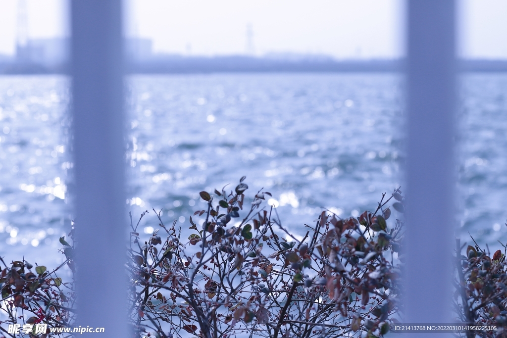 江边河滩江水 