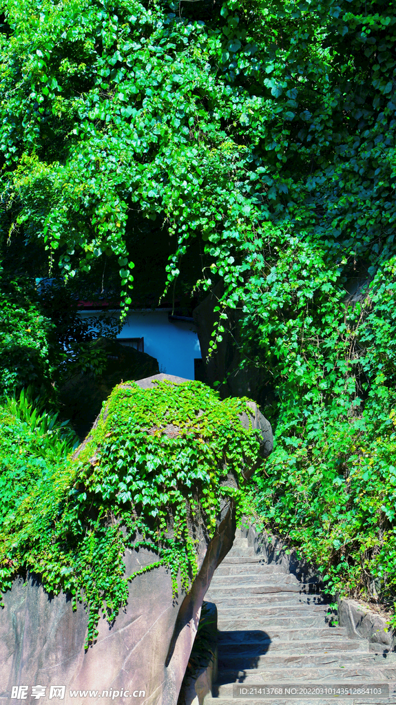 乡间小路风景 