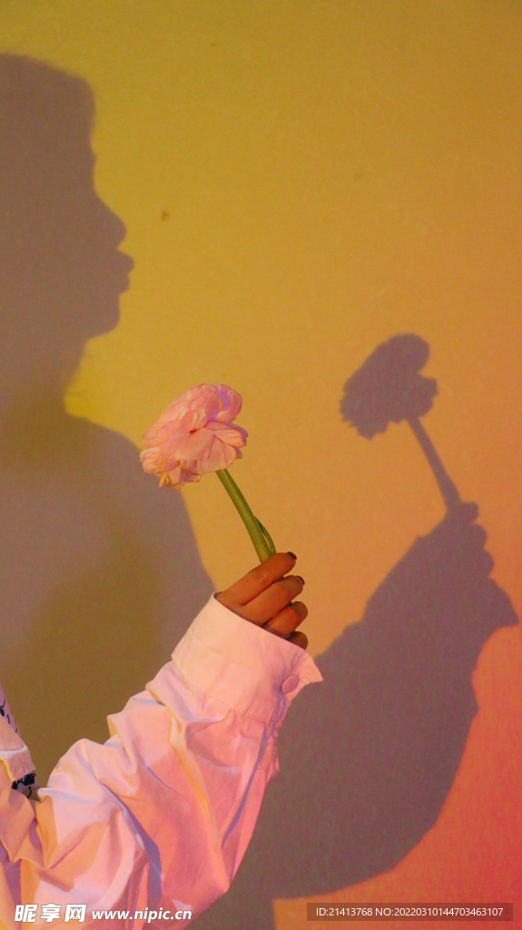 女孩和花朵 