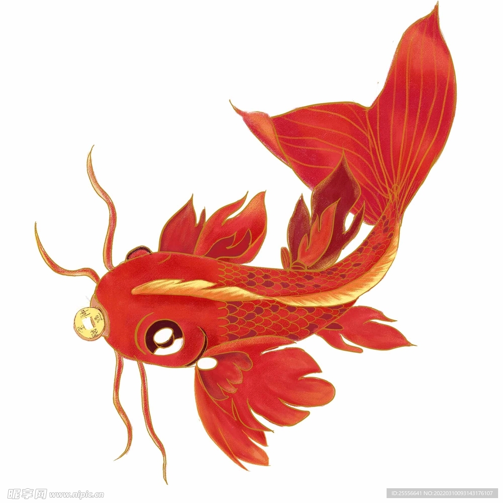 锦鲤