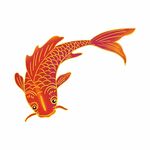 锦鲤