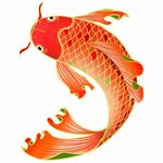 锦鲤