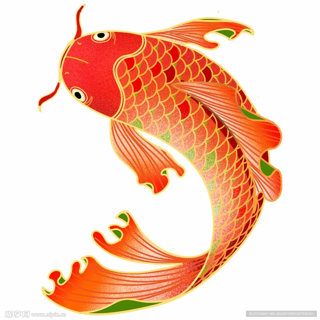 锦鲤