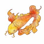 锦鲤
