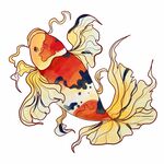 锦鲤