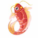 锦鲤
