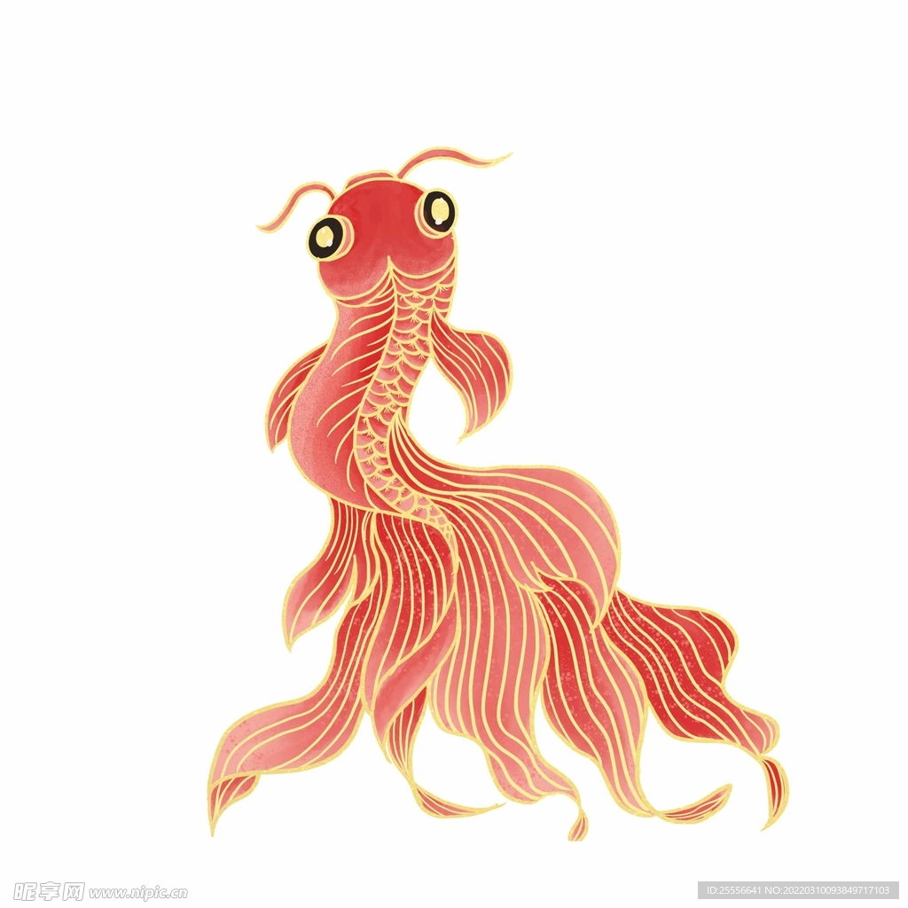 锦鲤