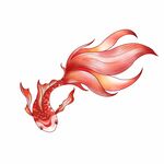 锦鲤