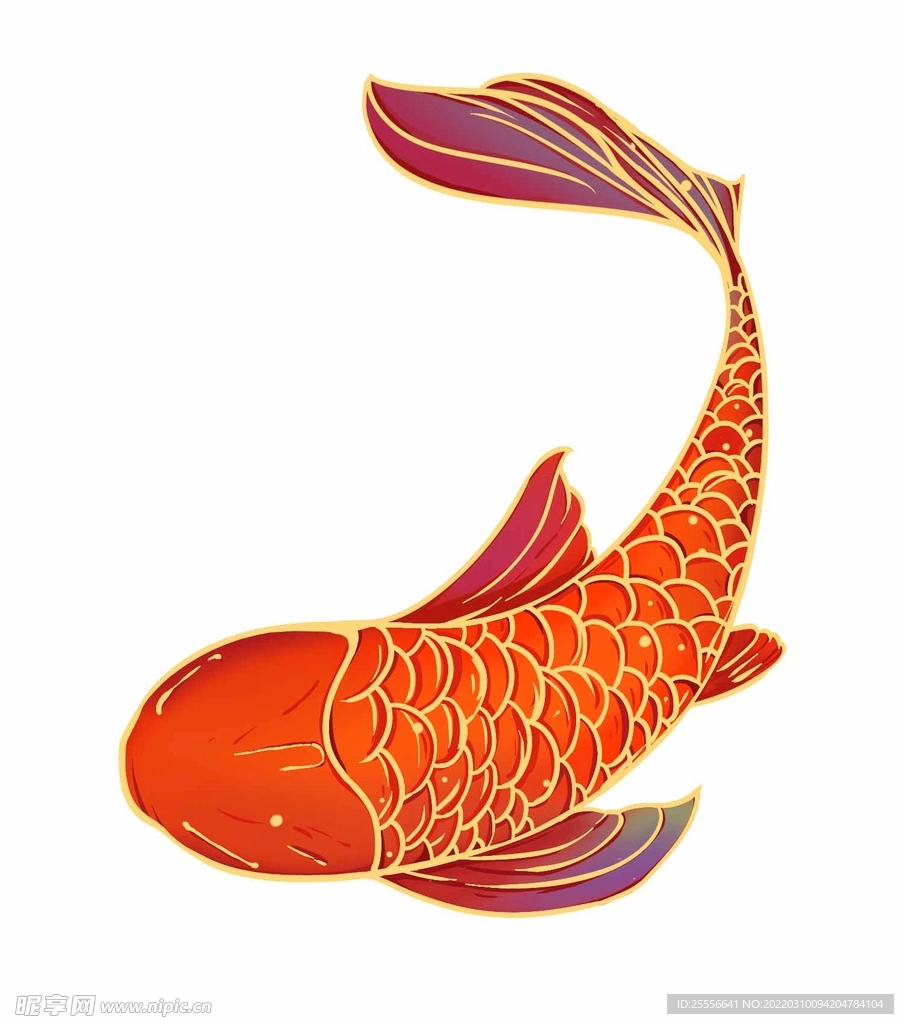 锦鲤