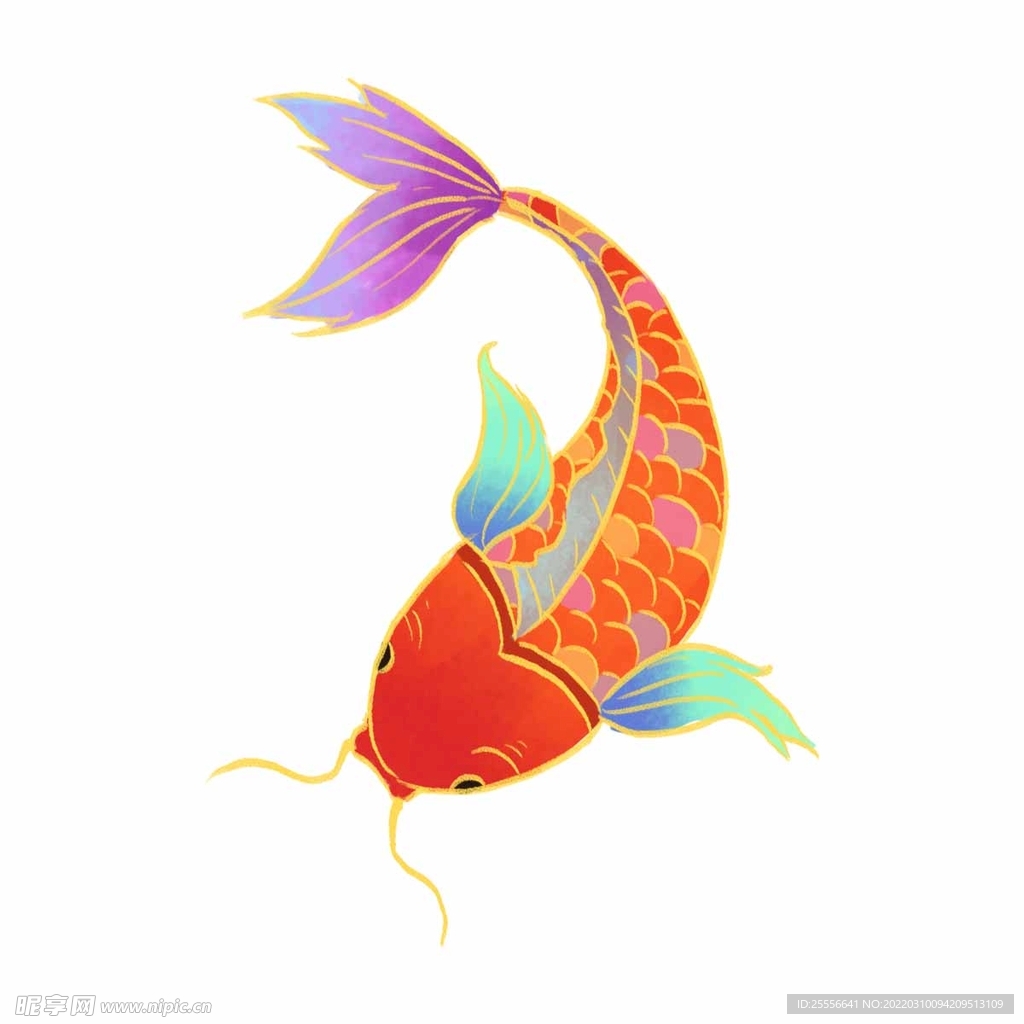 锦鲤