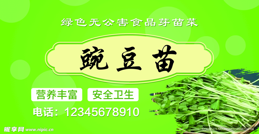 豌豆苗