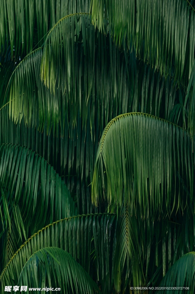 背景底纹