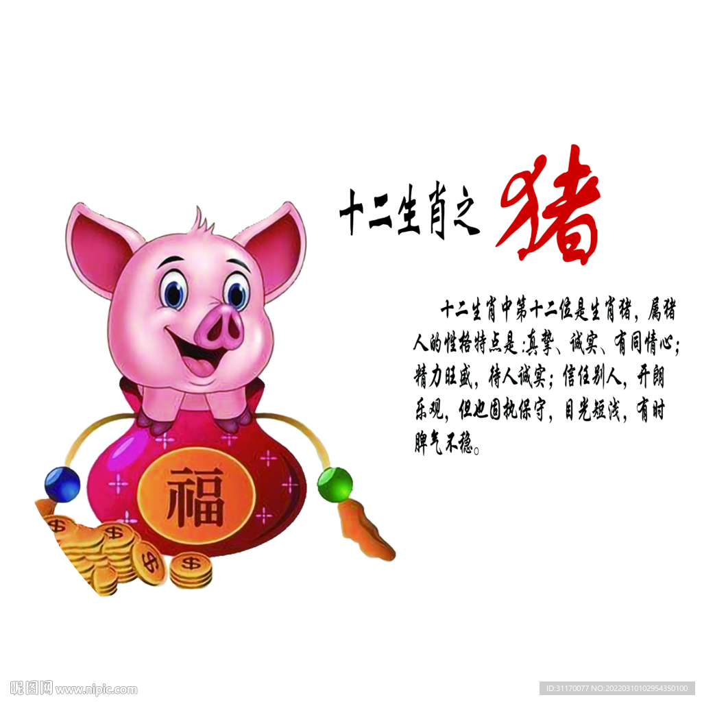 十二生肖猪
