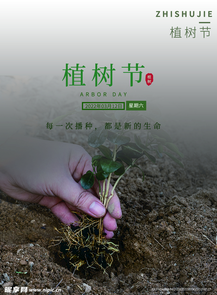 植树节