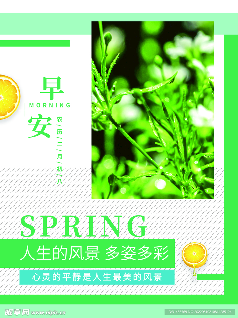 早安