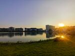 夕阳 公园 