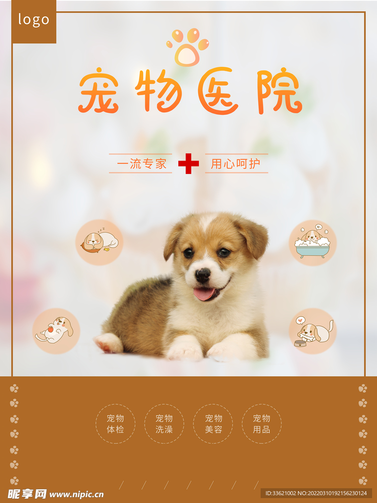宠物海报 